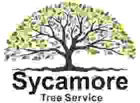 Sycamore Tree Service