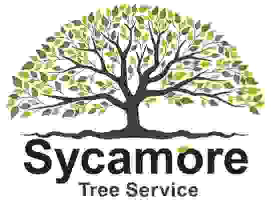 Sycamore Tree Service