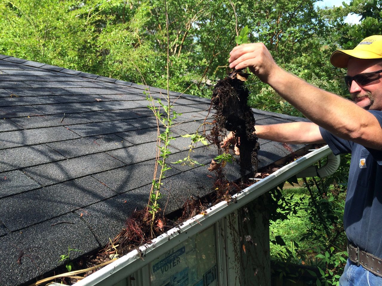 Gutter Cleaning Mr Gutter
