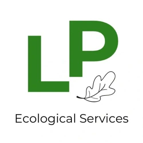 Bat Surveys bat-surveys