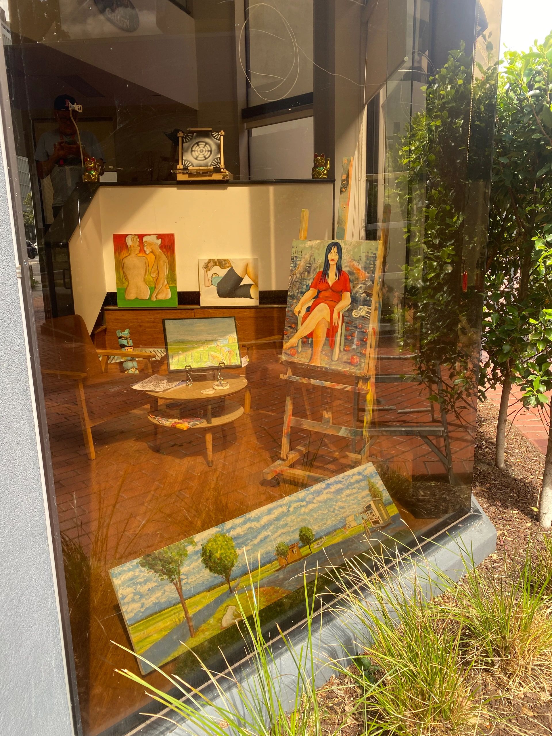 Looking through the front window of the Wild Brumby Art Gallery, Albert Square, Melbourne.