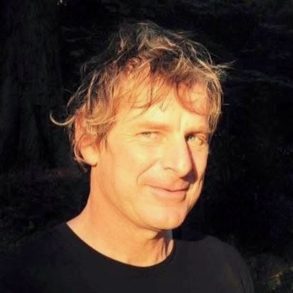 Wild Brumby Art GaArtist Robber McVean