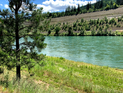 A tranquil river flowing beside a grassy bank with trees under a partly cloudy sky.