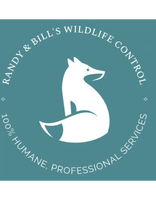 Randy's Wildlife Control and Remediation
