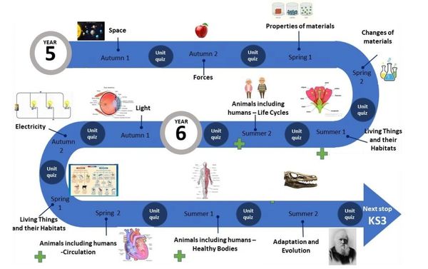 Education roadmap for Year 5 and Year 6 science topics with quizzes.