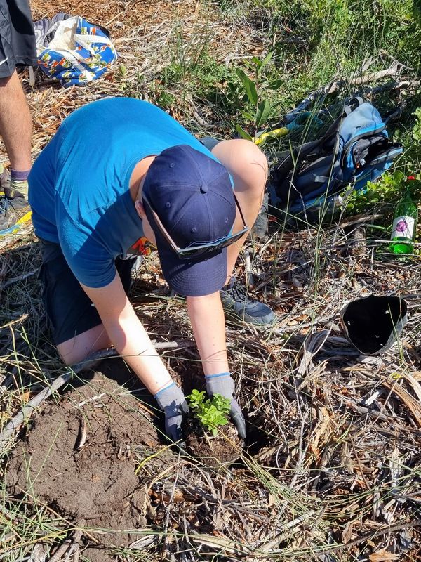 Person planting a tree for Plastic Applications Ventures, injection moulding Cape Town