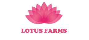Lotus Farms Mahabaleshwar