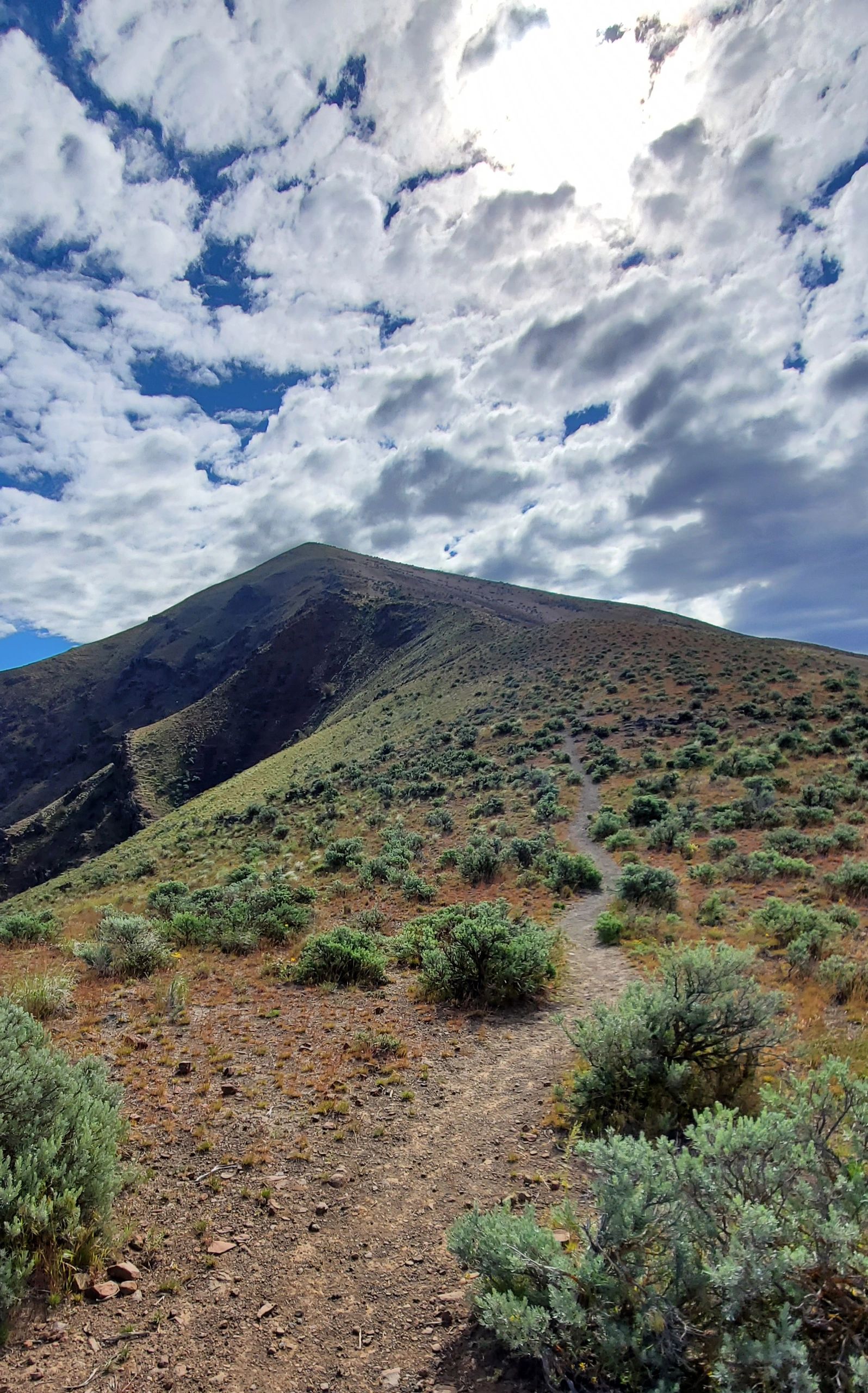 ACE Coaching Attuned Connected Empowered Life Coach Counseling 