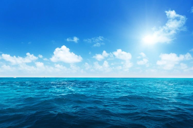 HOME oceanfreshfood com HOME oceanfreshfood com
