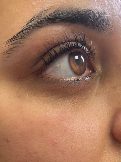 LVL lashes