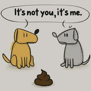 Funny dog meme