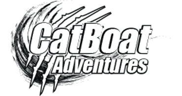 drive cat boats