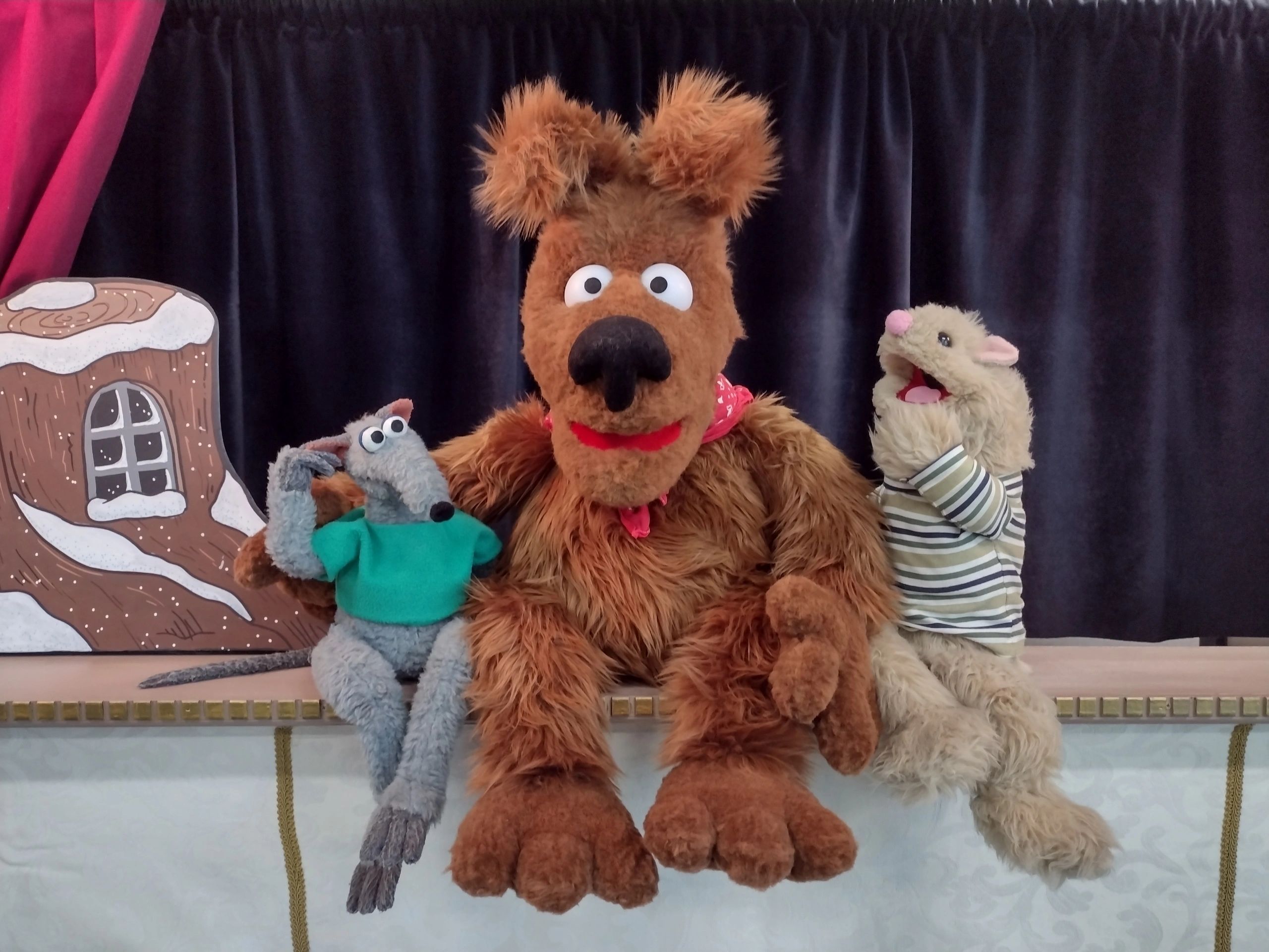 Roz Puppets - Puppet Shows, Entertainer, Library Programs