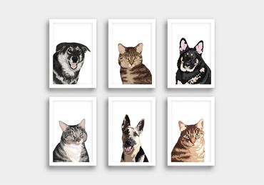 Dog and cat pet illustrations.