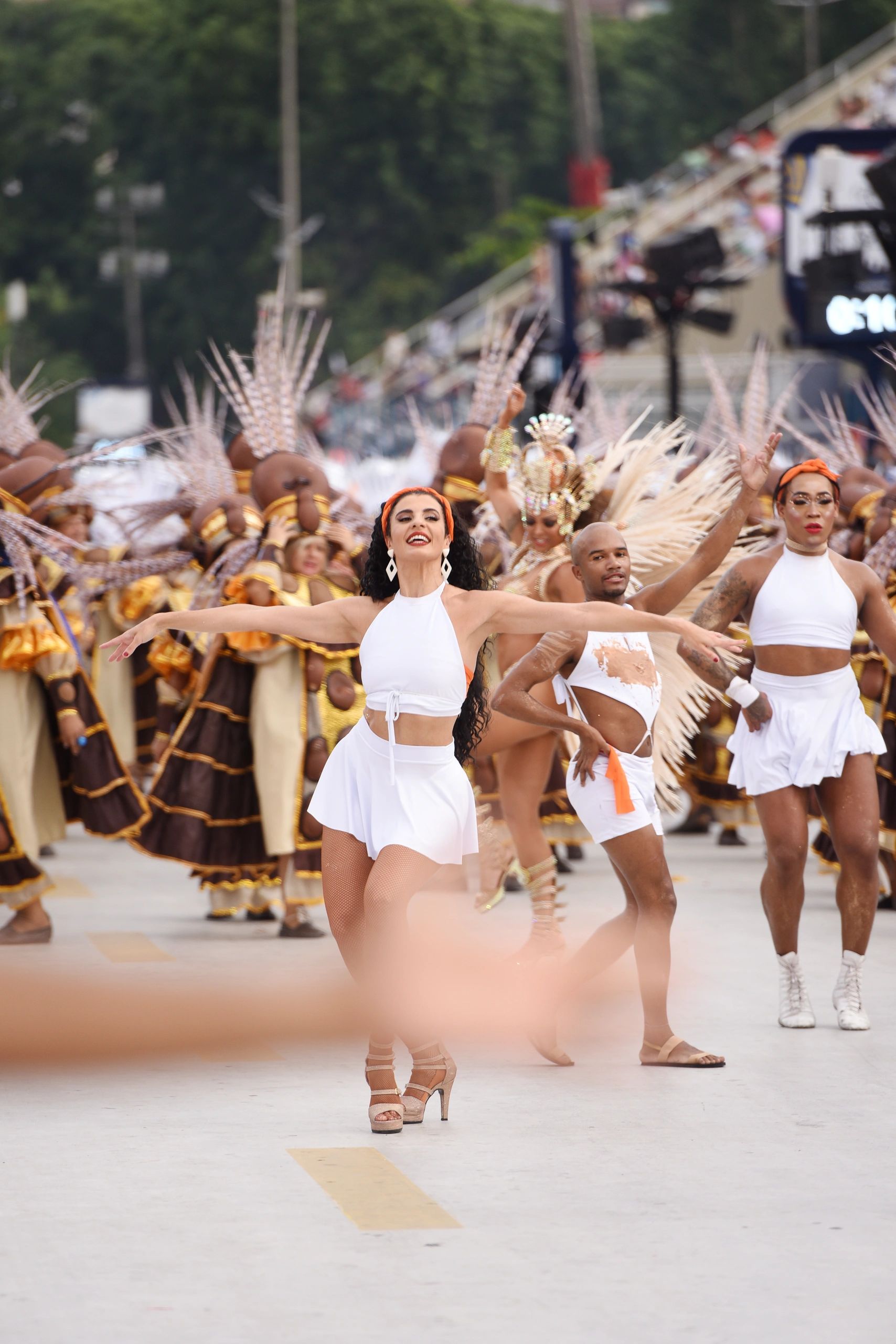 Do you know the different types of samba? Check out!