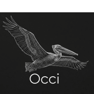Occi Property Representatives