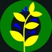HP RESTORATION SERVICES