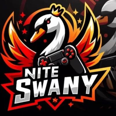 NiteSwany