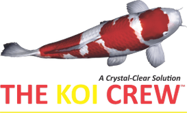 The Koi Crew -  0828223120