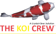 The Koi Crew