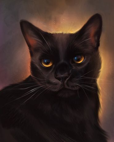 Black cat with yellow and orange eyes