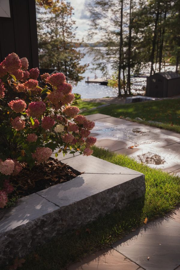 Pink flowers near a lakeside patio.