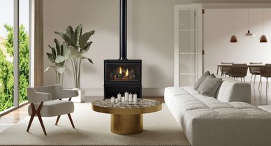 Free Standing Gas Fireplace