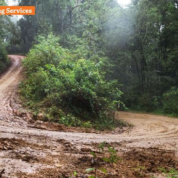 A muddy access road winding through dense forest greenery.