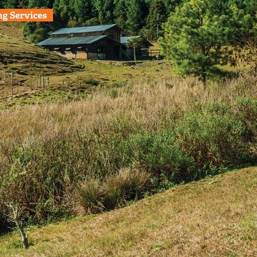 A grassy hillside with scattered bushes and a rustic house in the background, advertising underbrush grinding services.