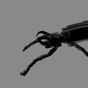 3D Modeled Atlas Beetle - Completed in Autodesk Maya