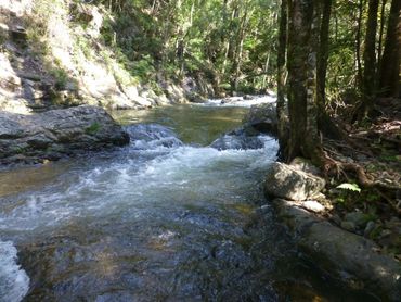 Dilgry River Cascades at Hidden Haven Barrington Tops