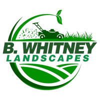 B. Whitney Landscapes