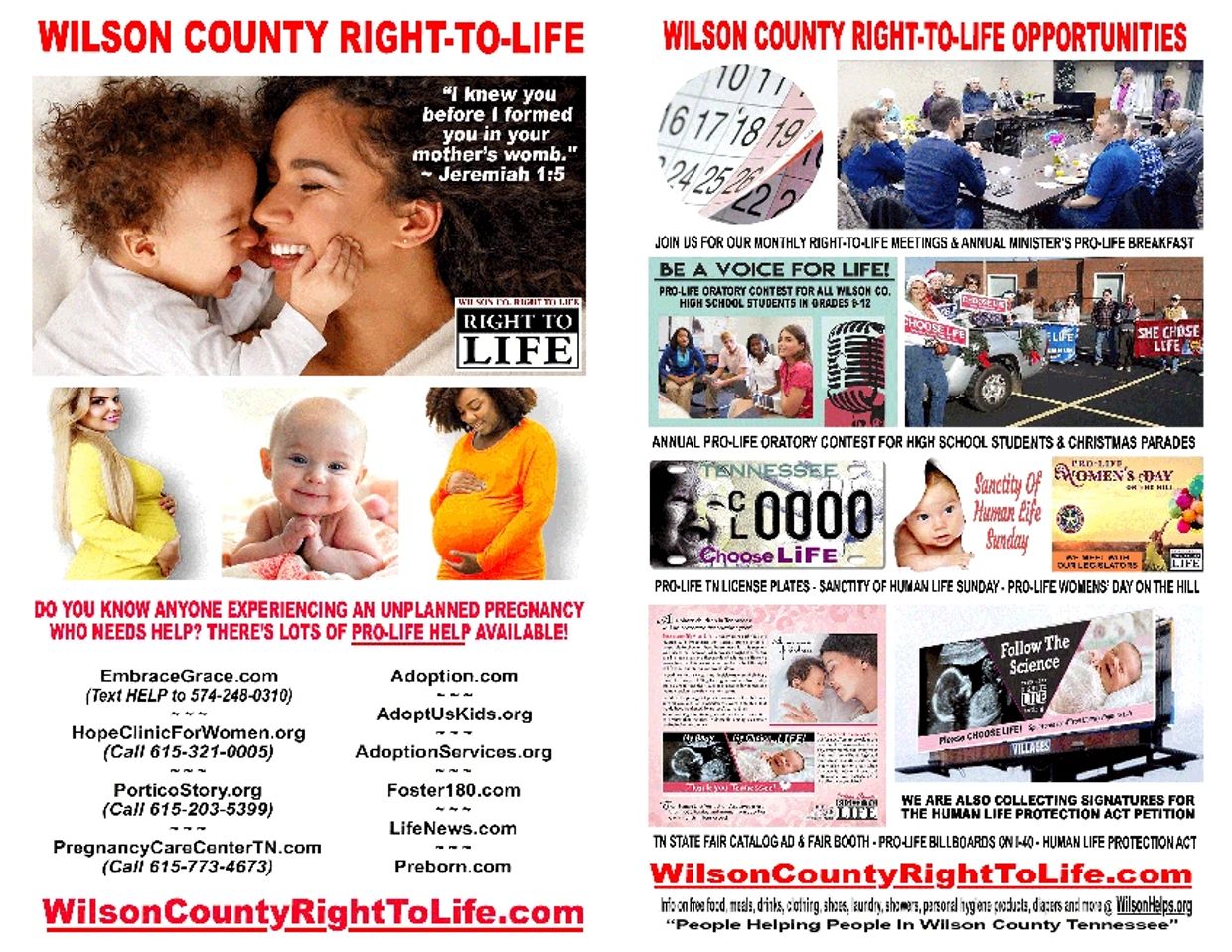 Download and print the WILSON COUNTY RIGHT TO LIFE FLYER/BULLETIN INSERTS