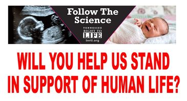 HONOR YOUR LOVED ONES IN OUR PRO-LIFE AD IN THE WILSON CO. / TN STATE FAIR CATALOG
