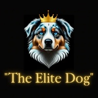 The Elite Dog