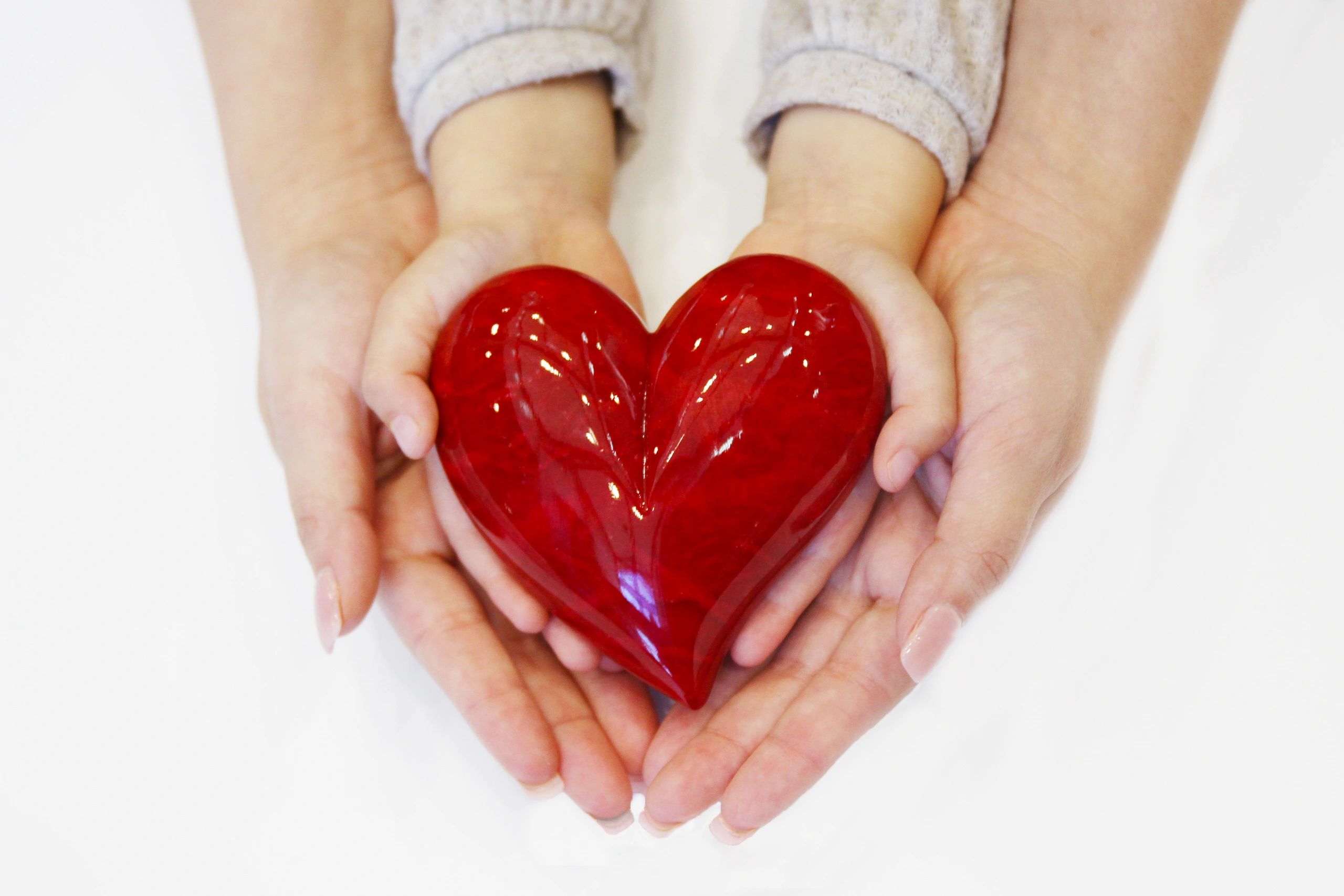 Lifeline for Families Inc logo