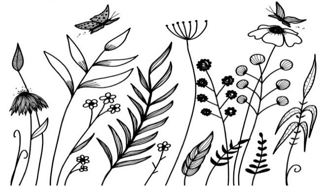 Wild Weed Organic, LLC