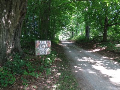 The lane way to Baba Link Organic Farm