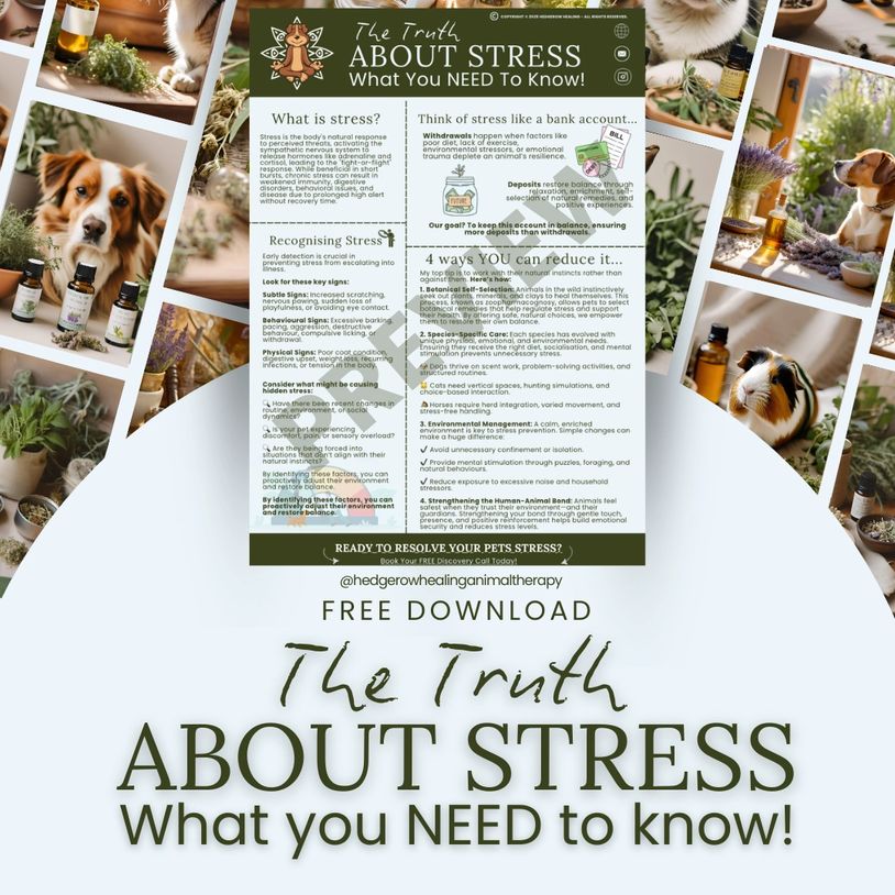 Informative poster on understanding and reducing pet stress with natural methods.
