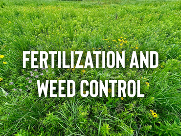 A lush green field with wildflowers and the text 'Fertilization and Weed Control'.