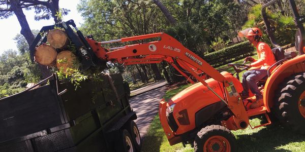 H&M Tree Service providing professional tree trimming and removal in Land O' Lakes, FL, for areas.