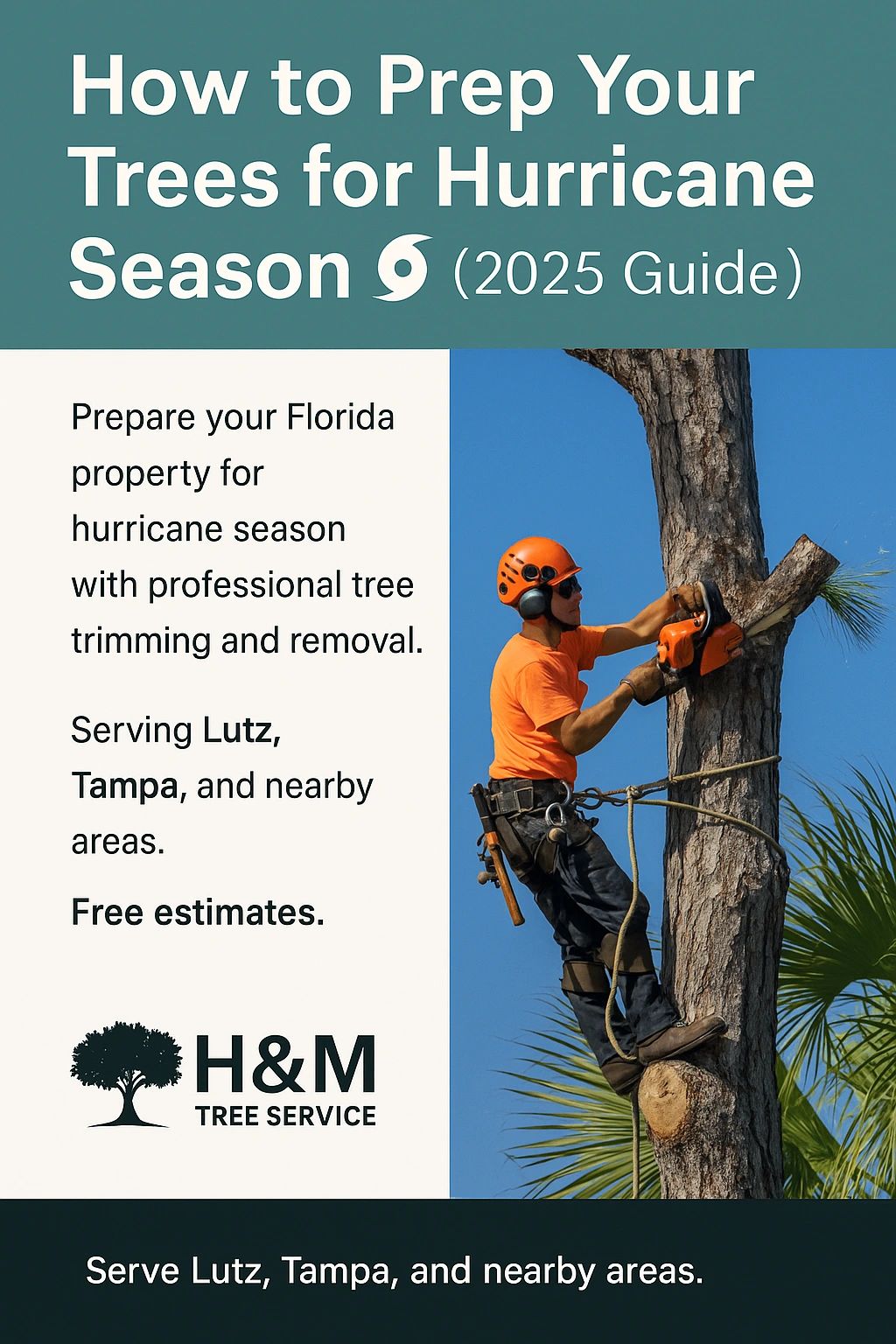 How to Prep Your Trees for Hurricane Season (2025 Guide)