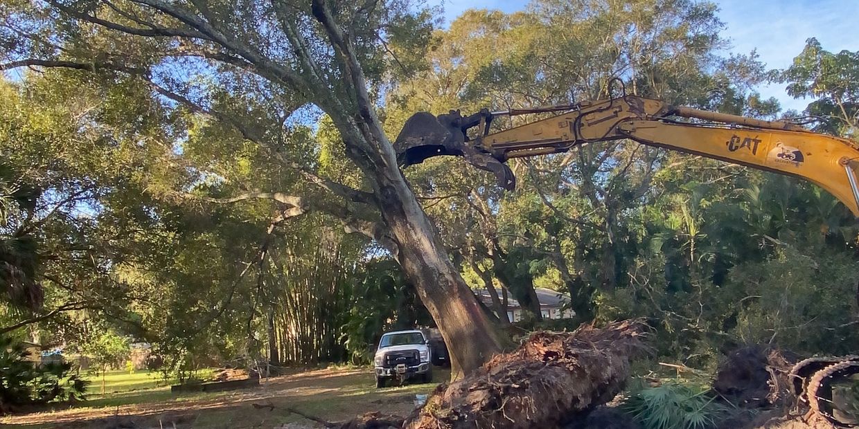 Comprehensive land clearing by H&M Tree Service in Land O' Lakes, FL residential and commercial land