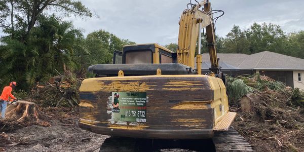 Good land clearing by H&M Tree Service in Lutz, FL removing trees and brush for a clear, open space.