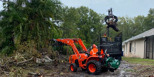 H&M Tree Service in Wesley Chapel, FL, offering reliable tree removal and trimming, property upkeep.
