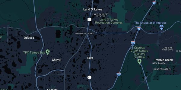 Map of Lutz, FL showing neighborhoods main roads, professional tree service In lutz tree service pro