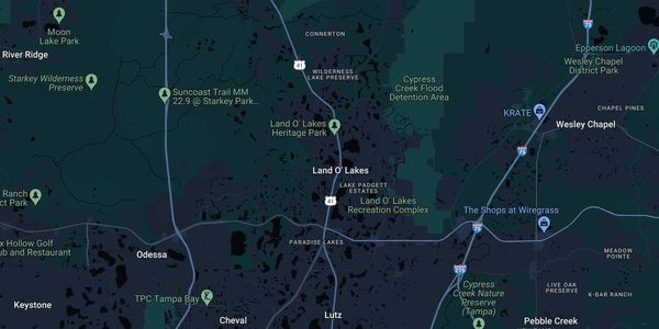 Map of Land O' Lakes, FL showing main roads, professional tree service In Land O' Lakes tree service