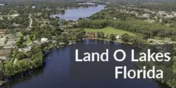 Reliable tree service by H&M Tree Service in Land O' Lakes, FL, enhancing safety and tree health.