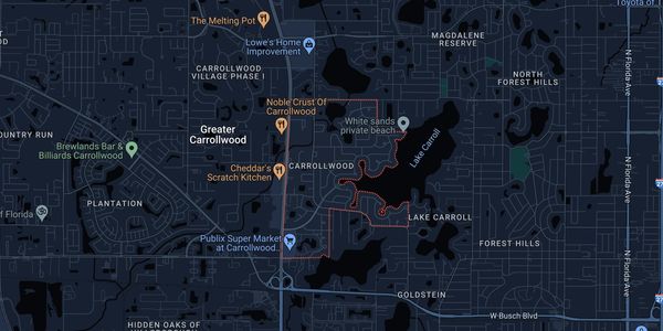 Map of Carrollwood, FL showing main roads, professional tree service In Carrollwood tree service pro