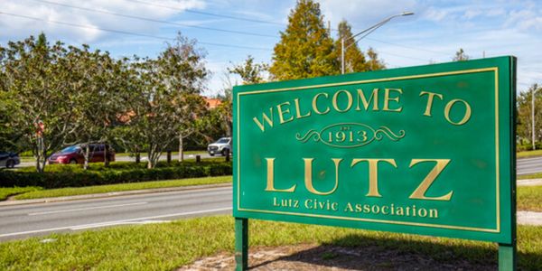 Professional tree service by H&M Tree Service in Lutz, FL offering tree trimming, removal, and care.